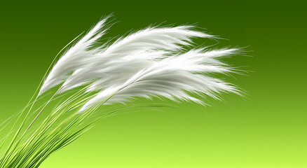 white grass on green