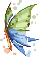 colorful butterfly illustration vector with watercolor painting style 