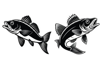 This is walleye fish vector illustration design