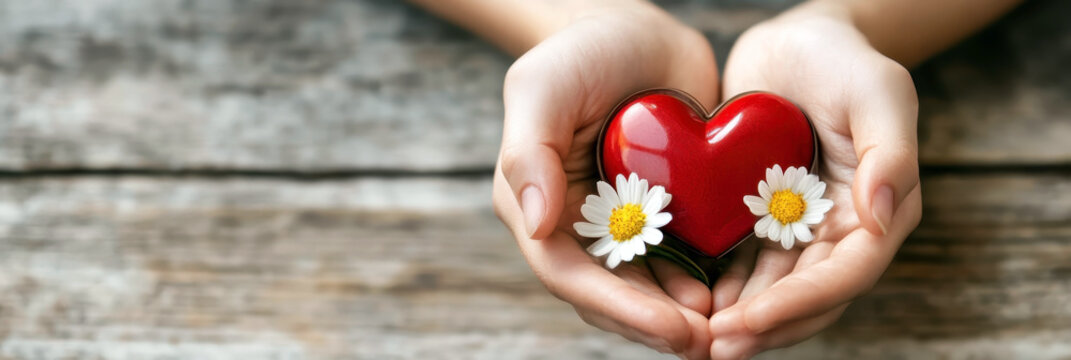 A heart decorated with white daisies in the palms, wooden background. Random Acts of Kindness Day. Horizontal banner. Copy space. International Day to Assist the Poor. Humanitarian Day. Charity Day