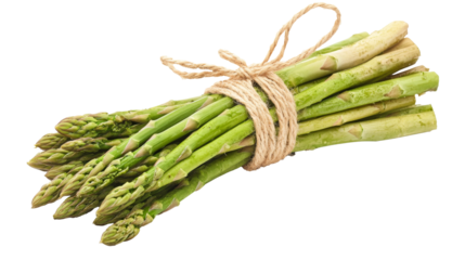 A bunch of asparagus spears, tied together with twine, solated on transparent background, PNG file