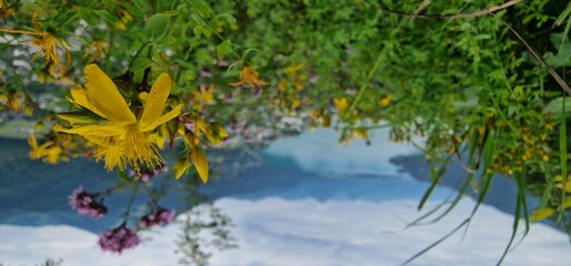 Obraz premium Wolfgangseeblick view of Lake Wolfgang in English, referring to the breathtaking panoramic vistas of Wolfgangsee, a lake located in the Salzkammergut region of Austria. 