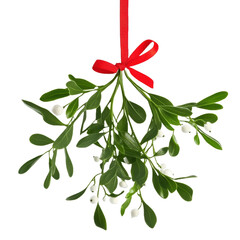 Fresh Mistletoe Bunch with Red Ribbon on White Background