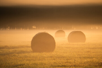 Hay bales in a misty field at sunrise - Powered by Adobe