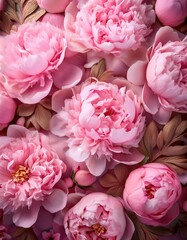 Fototapeta premium huge bouquet of pink color peonies. background of pink peonies. Top view
