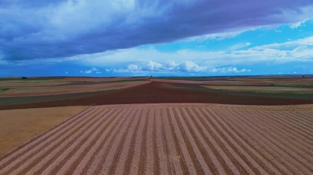 Aerial view from a drone of harvested grain fields in the surroundings of the town of Carrascal in the province of Zamora. Castilla y Leon. Spain. Europe