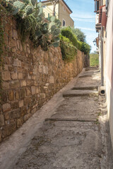 Narrow Ascending Cobblestone Street with Stone Wall