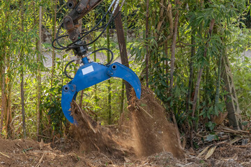 A multifunctional excavator grab with hydraulic rotator moves the soil to clear it of bamboo tree...