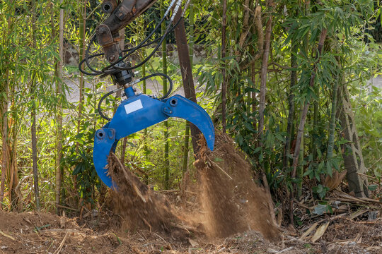A multifunctional excavator grab with hydraulic rotator moves the soil to clear it of bamboo tree roots