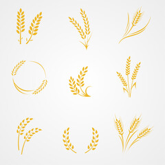 Rice Wheat cereal  graphic element flat icon illustration design