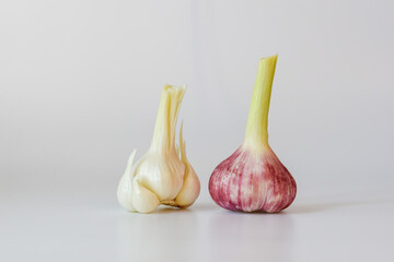 Fototapeta premium Fresh garlic on natural white background