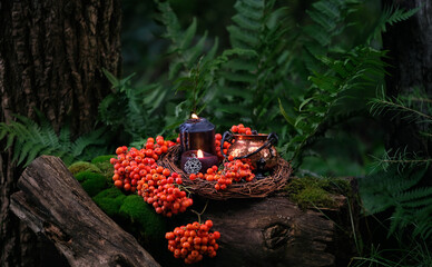 Magic black candles, witch cauldron, amulet and rowan tree berries in forest. Magic, Witchcraft,...