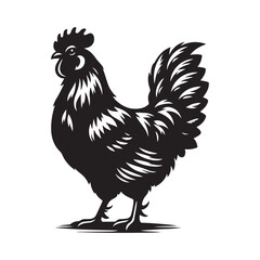 Chicken Silhouette, Stylish icon, template, background, tattoo. Print for t-shirt. Hand drawn vector illustration, Chicken black vector, isolated.
