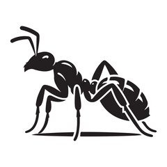 Ant Silhouette, Stylish icon, template, background, tattoo. Print for t-shirt. Hand drawn vector illustration, Ant black vector, isolated.