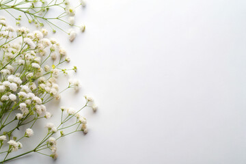 Delicate white flowers gently arranged on a subtle background, inviting serenity and natural beauty in a minimalistic setting. Generative AI