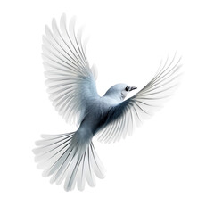 Obraz premium beautiful bird in flight isolated on transparent background Generative AI