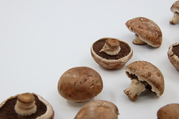 mushrooms on a white background