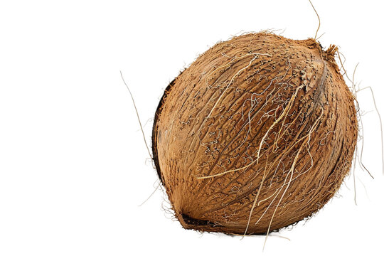 Ultra HD 4K Picture of Coconut with Transparent Background Capturing Detailed Shell and Interior Features Suitable for Stock Photos and Tropical Food Imagery