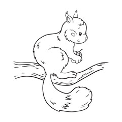 squirrel on the branch with acorn coloring page, cartoon style,black outline vector illustration isolated on white background, template for coloring or activity books for children