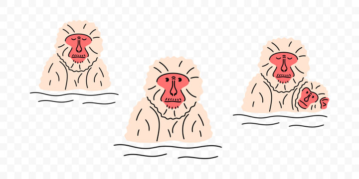 Japanese macaques with babies soak in hot springs, graphic design. Snow monkeys bathing and soaking, primate and animal, vector design and illustration