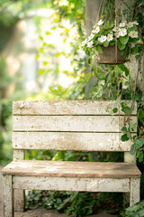 A bench with a hanging flower pot in front of it