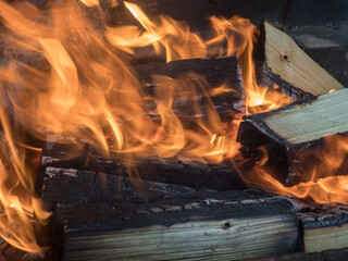 burning firewood close up