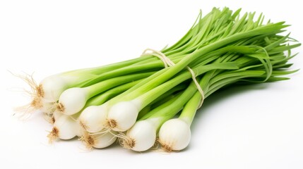 Fresh Green Onions on White Background