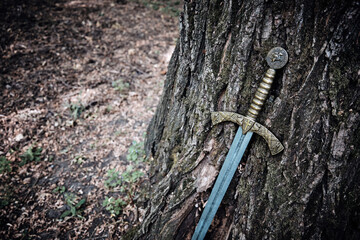 A beautiful medieval sword with a bronze hilt against of tree trunk.