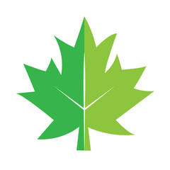 Obraz premium maple leaf silhouette abstract vector on a white background