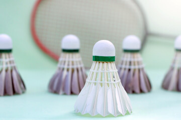 white and black badminton feather shuttlecocks and racket on floor in indoor badminton court, copy space, soft and selective focus.	