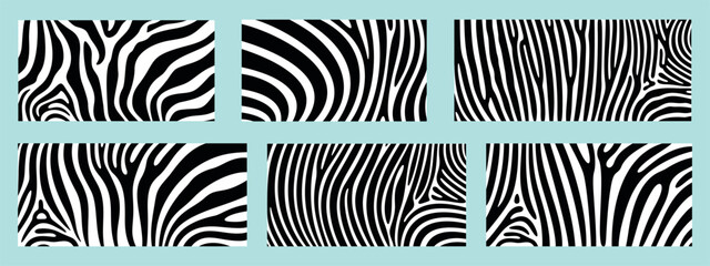 Zebra texture logo. Isolated zebra texture on white background © oleg7799