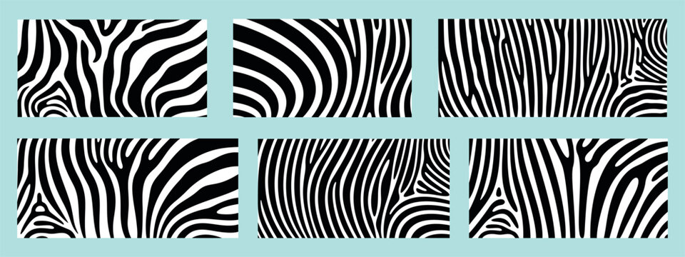 Zebra texture logo. Isolated zebra texture on white background