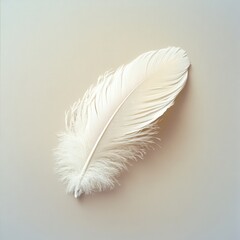 A single white feather lies against a soft gradient background, evoking a sense of purity and peace versatile for nature, tranquility, and minimalistic design themes,