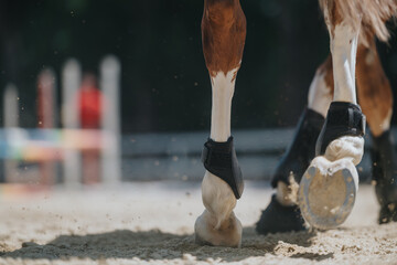 Close-up of a horse's hooves in protective boots, captured in motion during training in a sandy...