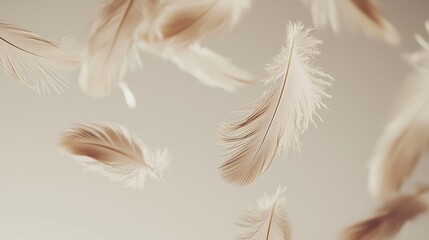 Soft and Airy Feathers Floating on Pastel Beige Backdrop with Minimalist Design