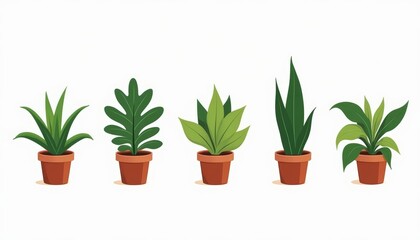 Fototapeta premium Five vibrant potted plants each unique in shape and size ready to brighten up any space