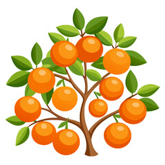 branch of orange  - vector illustration of orange isolated on white, orange vector art