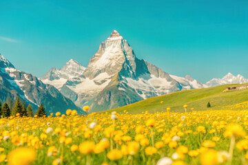 Fototapeta premium Vibrant wildflowers bloom in a sunny meadow beneath majestic snow-capped mountains during a clear summer day in the Alps. Generative AI