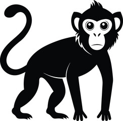Fototapeta premium Monkey silhouette vector illustration