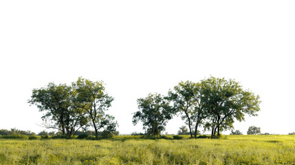 Obraz premium Rural Landscape Isolated Clear Background