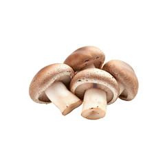 Close-up of Fresh Brown Mushrooms