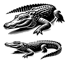 black and white alligator silhouette in detailed vector style