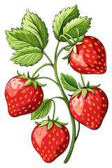 strawberry with leaves - vector illustration of strawberry isolated on white, strawberry vector art