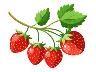 strawberry on a branch - vector illustration of strawberry isolated on white, strawberry vector art