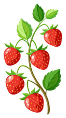 strawberry on a branch - vector illustration of strawberry isolated on white, strawberry vector art