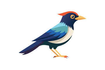 Obraz premium A beautiful bird vector art illustration 