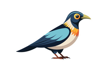 A beautiful bird vector art illustration 