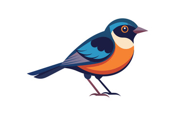 A beautiful bird vector art illustration 