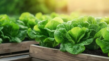 Fototapeta premium Urban farms powered by zero-waste energy systems, growing crops with renewable energy, zero waste energy, green agriculture