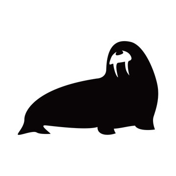 recommend clip art: walrus silhouette design. aquatic animal sign and symbol.